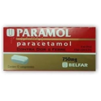 imagem de Paramol 750mg Belfar Caixa com 20 Comprimidos